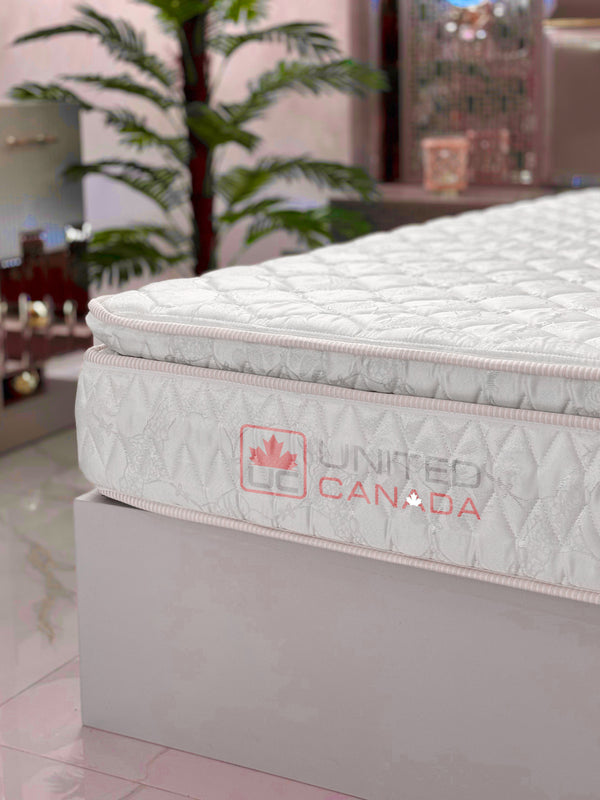 UNITED CANADA MATTRESS MONTREAL MEDICAL WITH PILLOW TOP(4 YEARS WARRANTY)