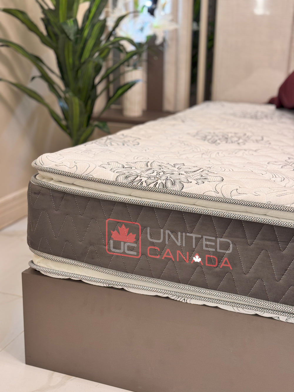 UNITED CANADA MATTRESS TORONTO BONEL SPRING WITH DOUBLE PILLOW(5 YEARS WARRANTY)