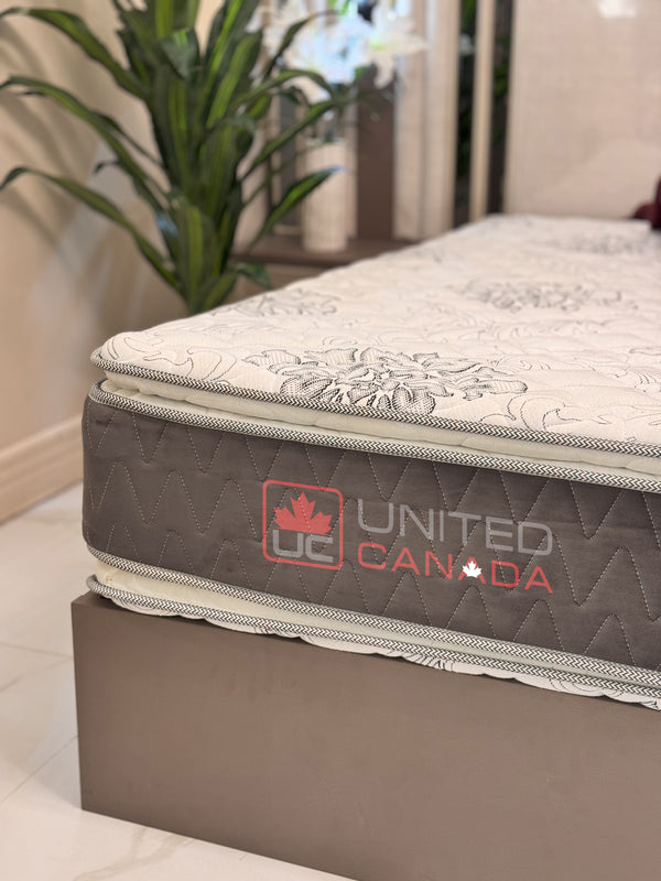 UNITED CANADA MATTRESS TORONTO BONEL SPRING WITH DOUBLE PILLOW(5 YEARS WARRANTY)