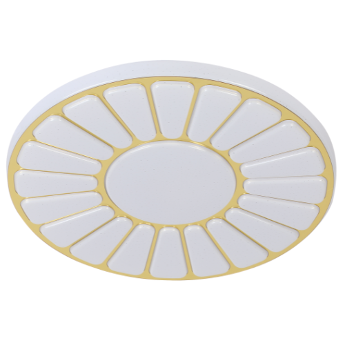 Lauren Modern Ceiling Lighst LED (5 years Warranty)